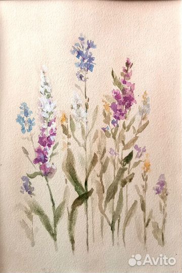 Акварельная картина Полевые цветы Прованс