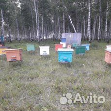 Продам ульи для пчел