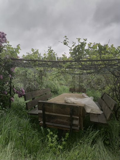 Дом 56 м² на участке 49 сот.