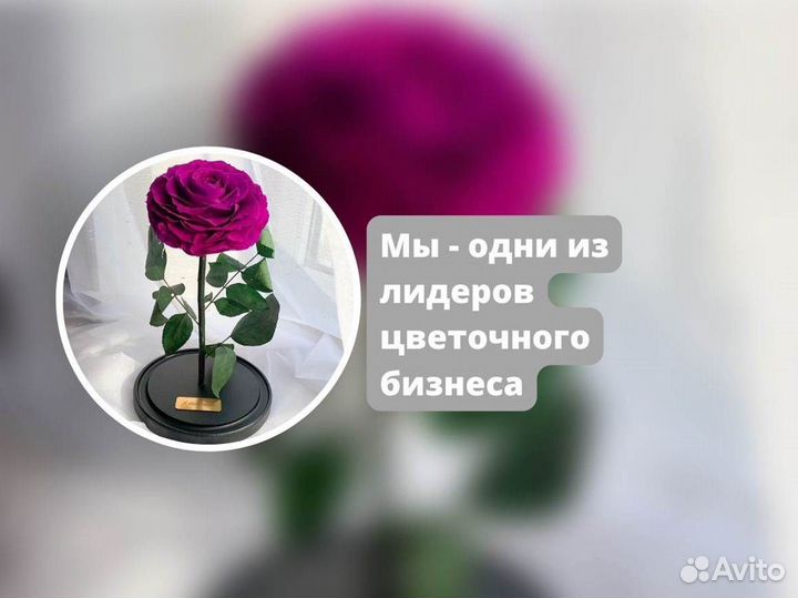 Неувядающая роза в колбе
