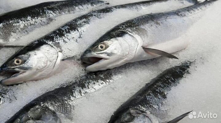 Франшиза: свежая рыба и стиль