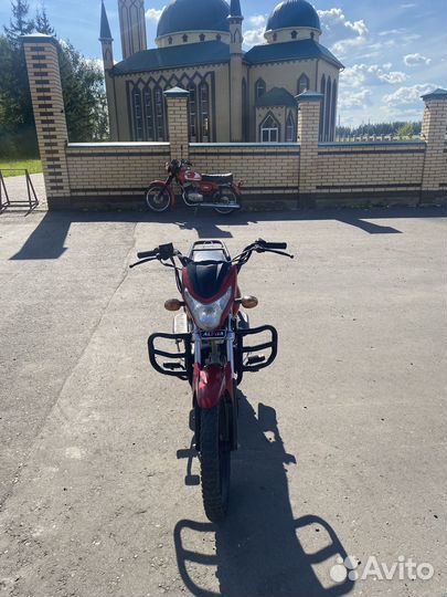 Alpha 110