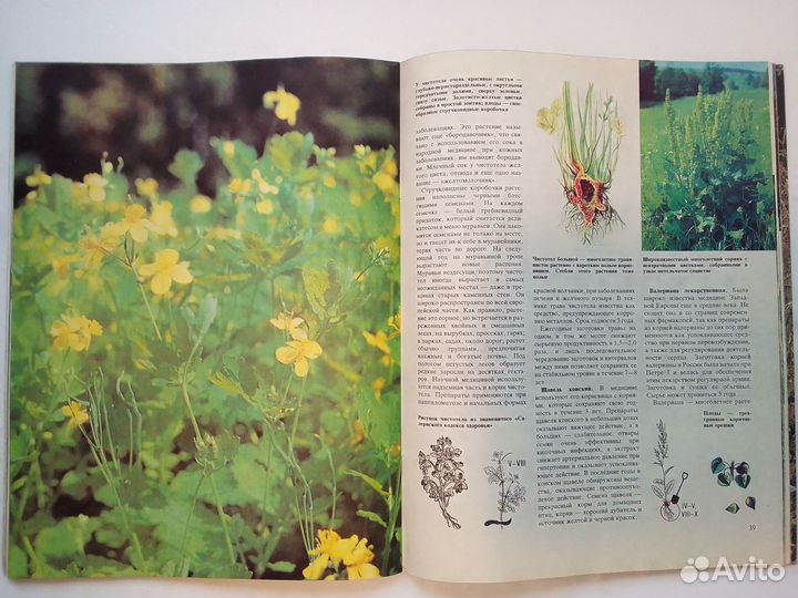 Книги Народная медицина Мед. Лекарственные травы