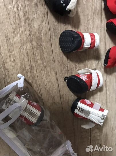 Ботинки для маленьких собак