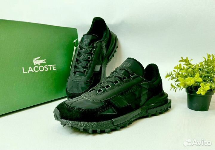Кроссовки Lacoste premium