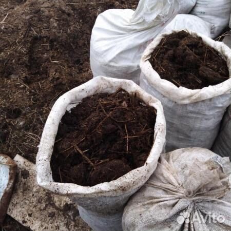 Конский навоз удобрения