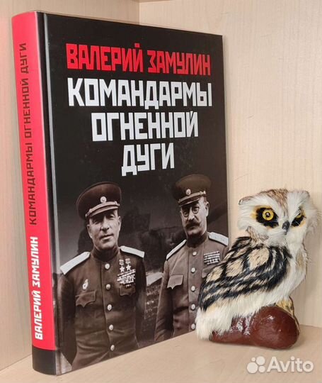 Замулин Валерий Николаевич. Командармы Огненной ду