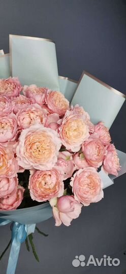 Роза кустовая пионовидная