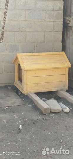 Собачья будка