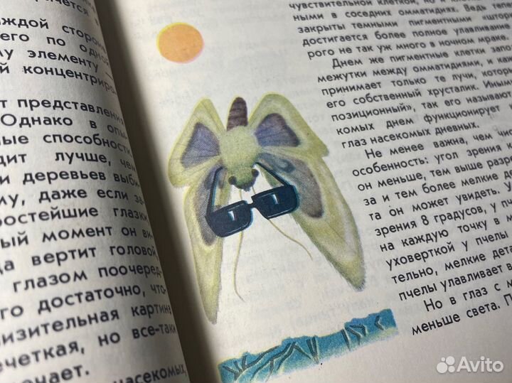 Книга «Мир животных» Акимушкин про насекомых