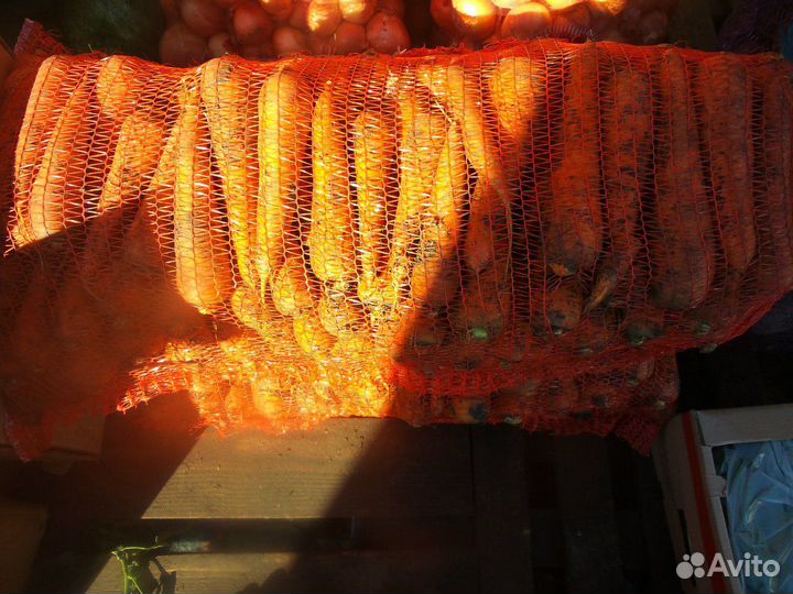 Овощи оптом из 1-вых рук