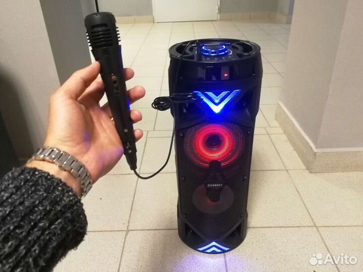 Мощная большая портативная колонка для отдыха