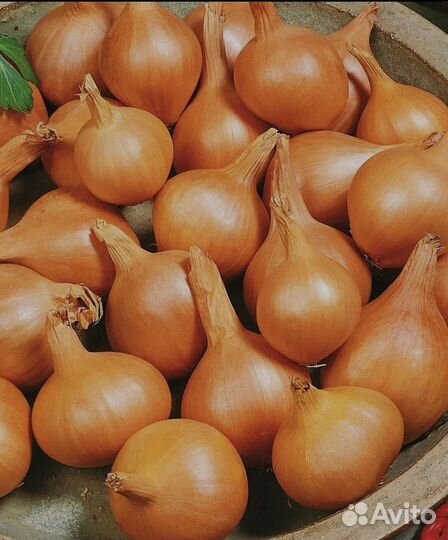 Продаю мелкий лук для посадки 4р