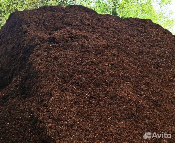 Торф обычный