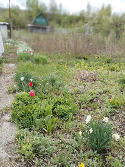 Дача 20 м² на участке 6 сот.