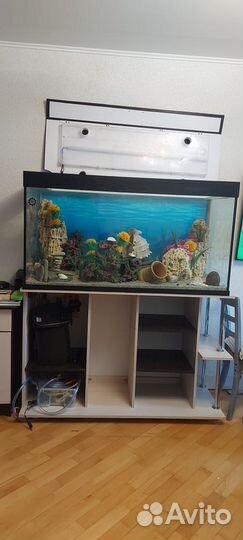 Аквариум с тумбой 500 литров