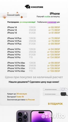 Kingstore - франшиза техники Apple в России