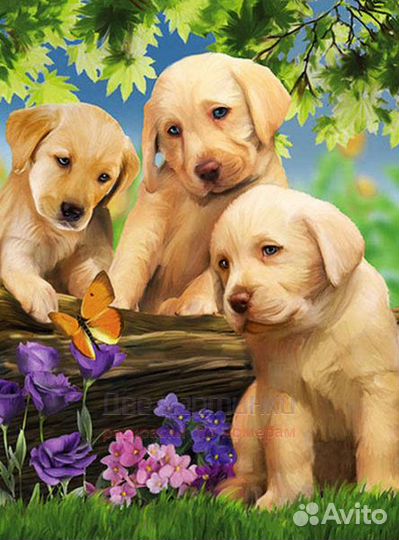 Алмазная мозаика 30x40 Милые щеночки с цветами и б