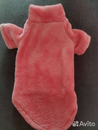Одежда для собак мелких пород