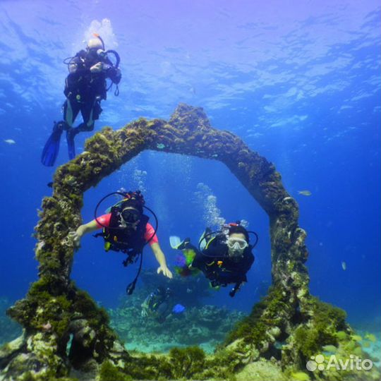 Дайвинг в Сочи/Адлере