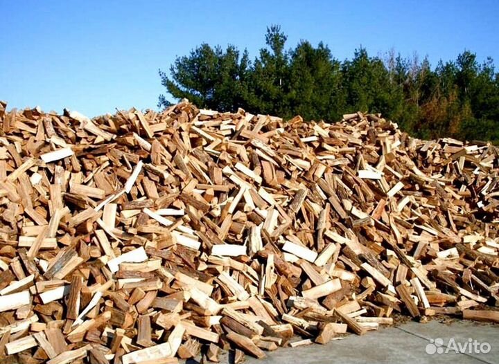 Дрова осина ольха