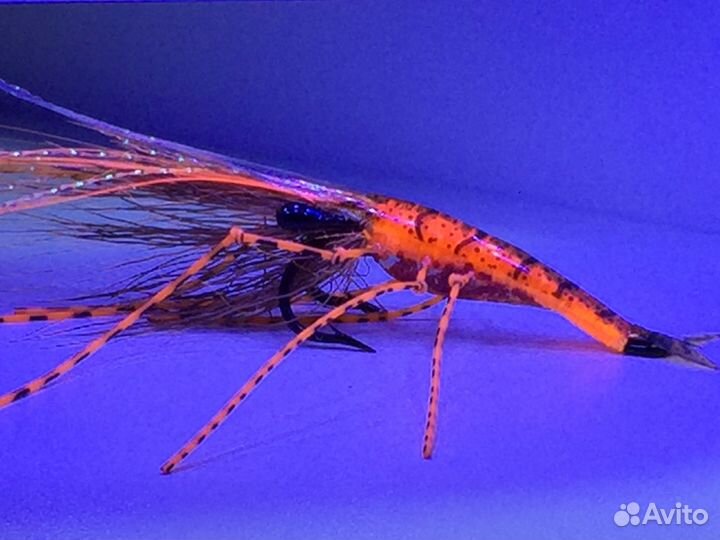 Мушка креветка