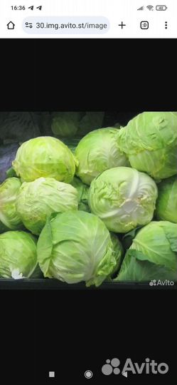 Продам капусту