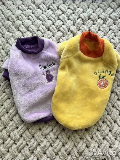 Одежда для собак