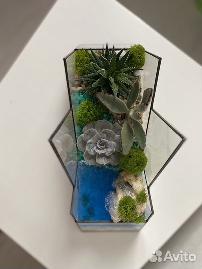 Флорариум Горы с суккулентами