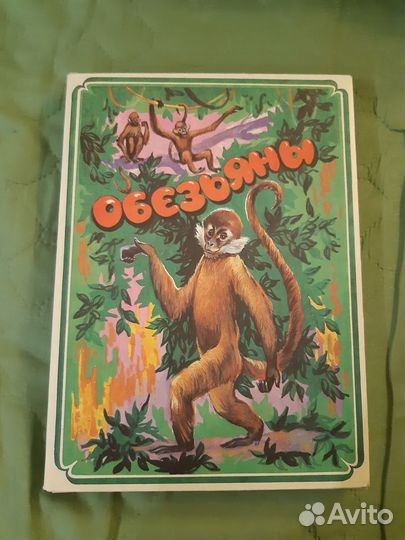 Набор спичек 