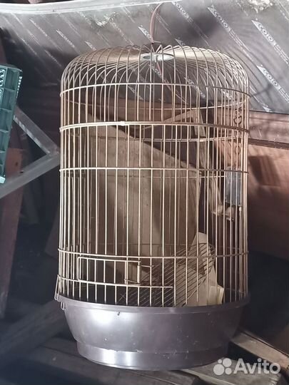 Птичья клетка