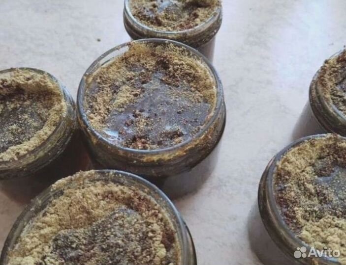 Очищение медовотравянное противогельминтное