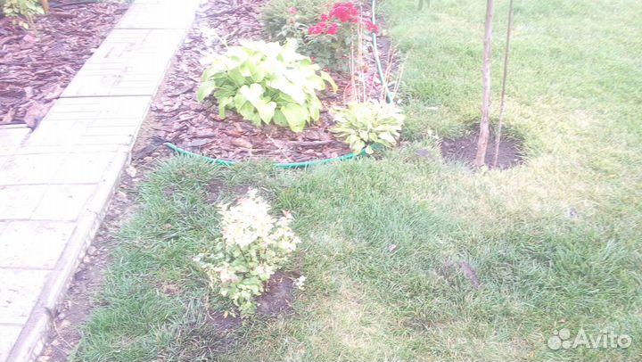 Бордюр садовый 