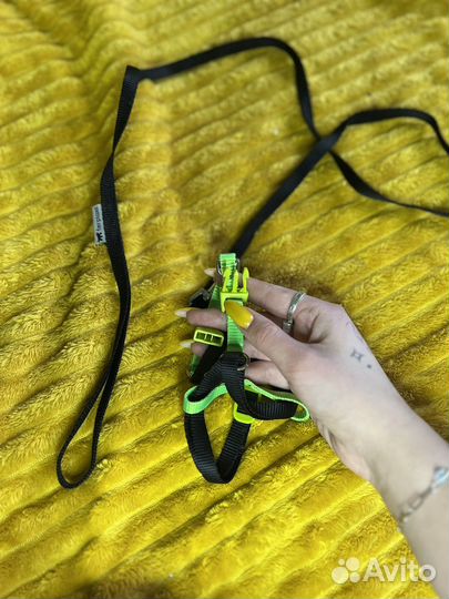 Поводок для маленьких собак