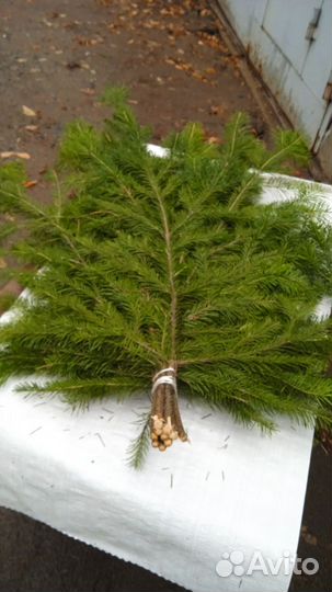 Новогодний букет