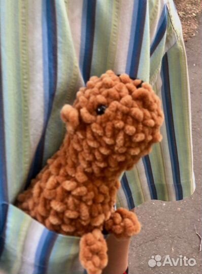 Капибарëныш