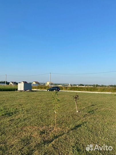 Покос травы триммером