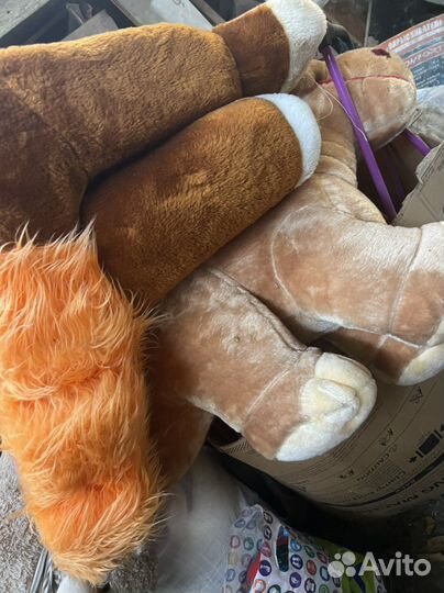 Плюшевый медведь