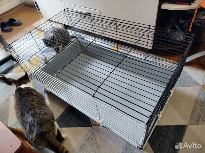 Клетка большая