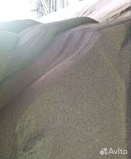 Соя, Кормовой овёс на корм