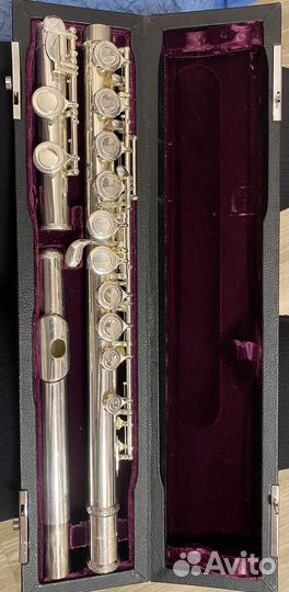 Trevor james флейта