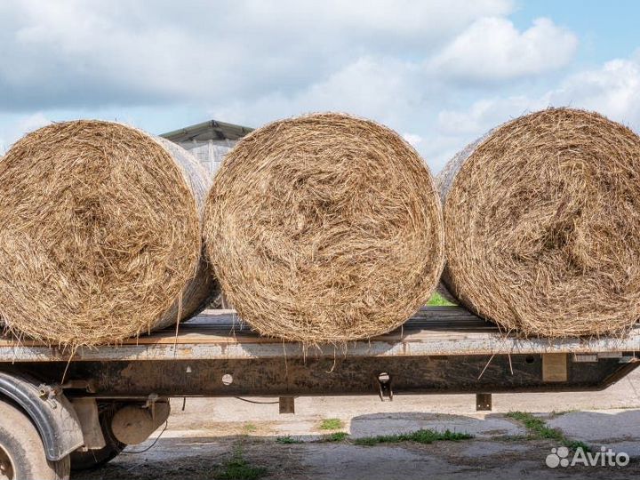 Сено в рулонах