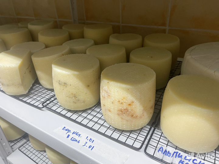 Сыр из настоящего молока