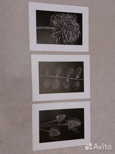 Картины и постеры