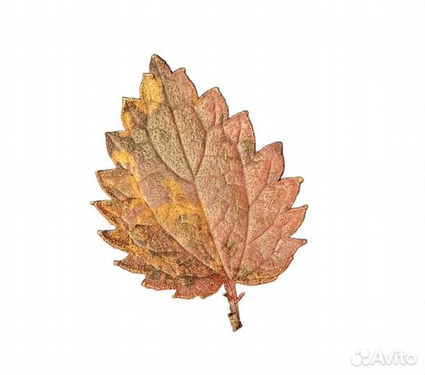 Броши ювелирные изделия