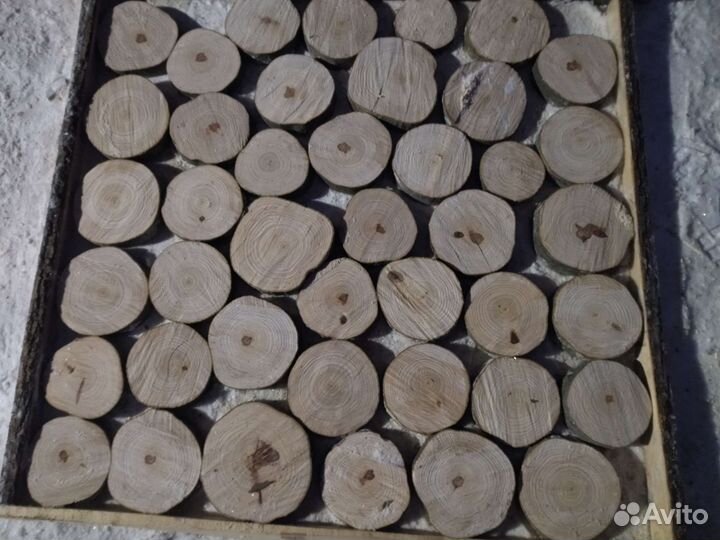 Торцевые спилы деревьев