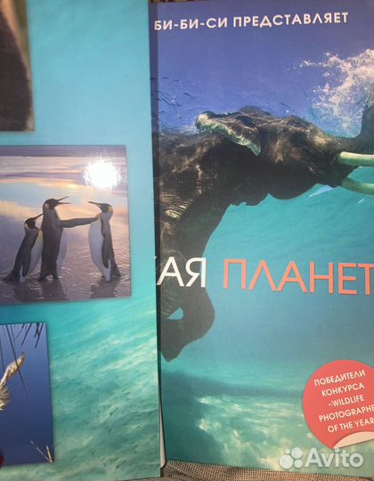 Дикая планета книга bbc