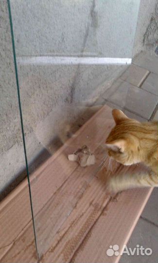 Стекло оконное