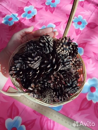 Шишки для поделок