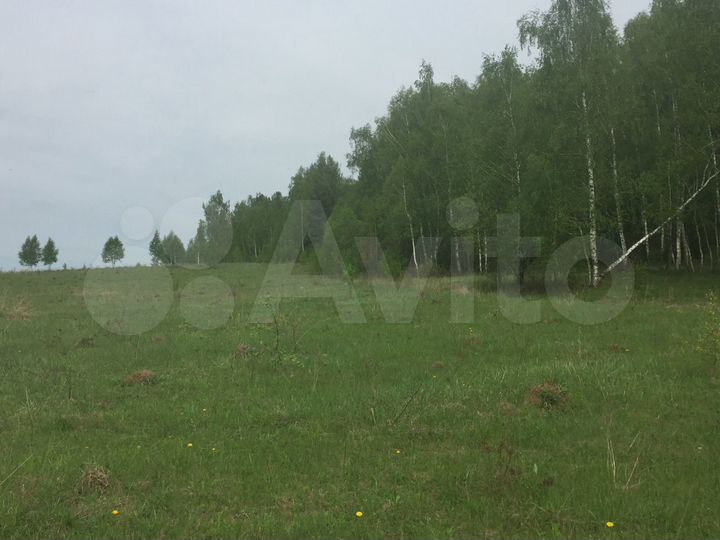 Участок 3 га (СНТ, ДНП)